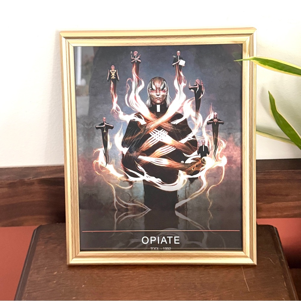Tool Opiate Music Band Art 1992 Canvas Print Gold Framed Wall Hanging Art Metal